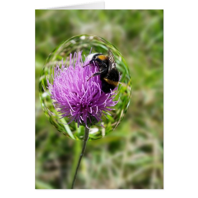 Bewaren in bubbel (Voorkant)