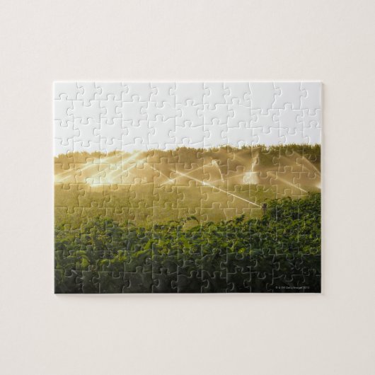 Bewateren irrigatiesysteem voor de landbouw 2 legpuzzel (Horizontaal)