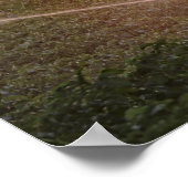 Bewatering van irrigatiesystemen voor de landbouw poster (Hoek)