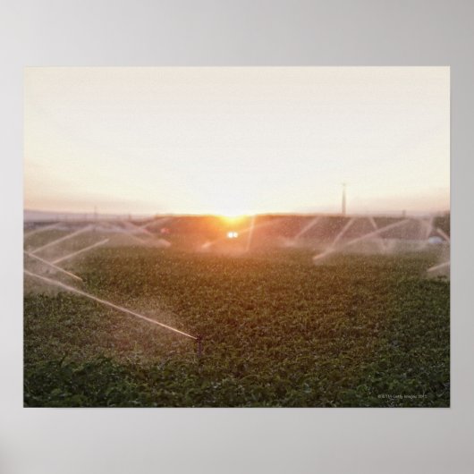 Bewatering van irrigatiesystemen voor de landbouw poster (Voorkant)