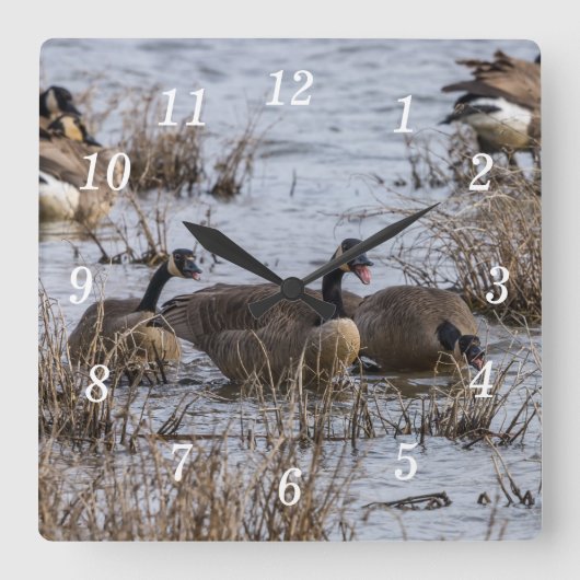 Bewegen in wandklok (Voorkant)