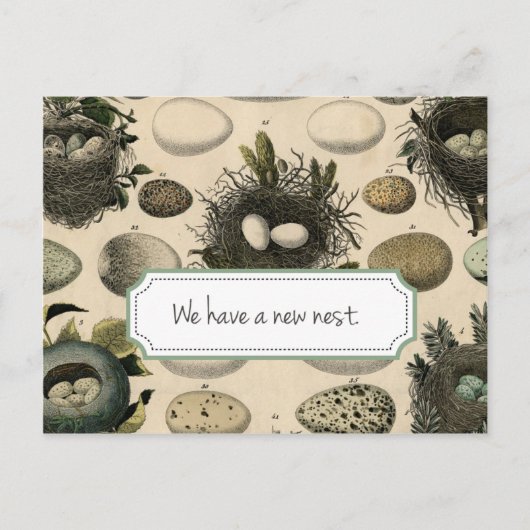  bewegende aankondiging //  Bird (Voorkant)