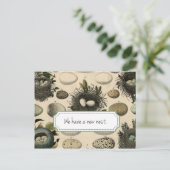  bewegende aankondiging //  Bird (Staand voorkant)