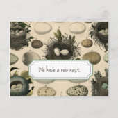 bewegende aankondiging //  Bird (Voorkant)