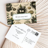 bewegende aankondiging // Bird