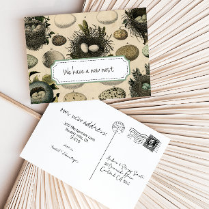  bewegende aankondiging //  Bird