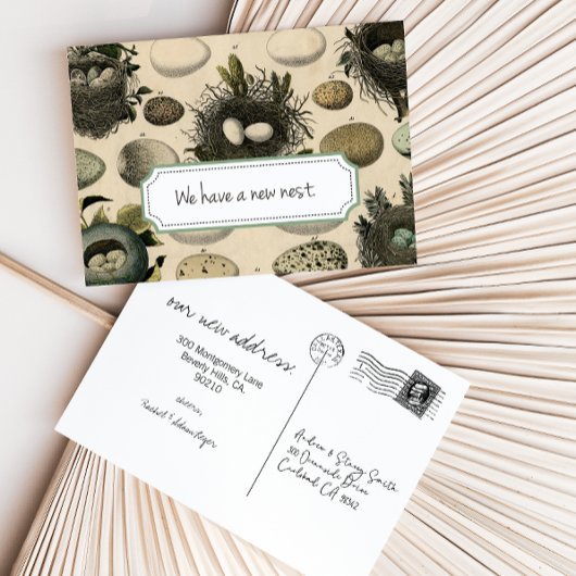 bewegende aankondiging //  Bird