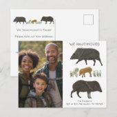 BEWEGENDE AANKONDIGING Javelina Family Desert CUST Briefkaart (Voorkant / Achterkant)