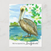 Bewegende aankondiging Louisiana Pelican Magnolia Briefkaart (Voorkant)
