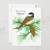 Bewegende aankondiging Maine Chickadee Pinecone Tr Briefkaart (Voorkant / Achterkant)