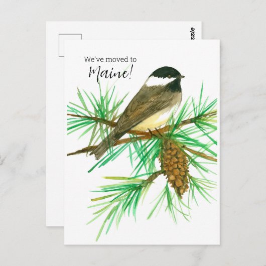 Bewegende aankondiging Maine Chickadee Pinecone Tr Briefkaart (Voorkant / Achterkant)