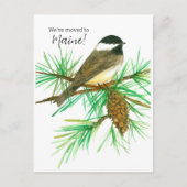 Bewegende aankondiging Maine Chickadee Pinecone Tr Briefkaart (Voorkant)