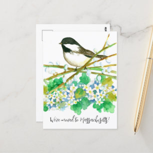 Bewegende Aankondiging Massachusetts Chickadee Flo Briefkaart