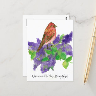 Bewegende Aankondiging New Hampshire Finch Lila Briefkaart