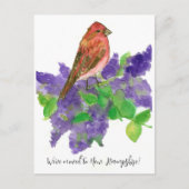 Bewegende Aankondiging New Hampshire Finch Lila Briefkaart (Voorkant)