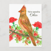 Bewegende Aankondiging Ohio Kardinaal Rode Anjers Briefkaart (Voorkant)