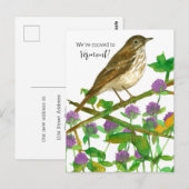 Bewegende aankondiging Vermont Hermit Thrush Clove Briefkaart (Voorkant / Achterkant)