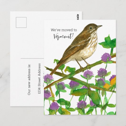 Bewegende aankondiging Vermont Hermit Thrush Clove Briefkaart (Voorkant / Achterkant)