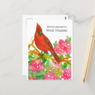 Bewegende Aankondiging West Virginia Kardinaal Blo Briefkaart