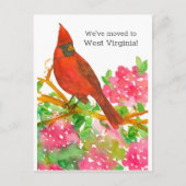 Bewegende Aankondiging West Virginia Kardinaal Blo Briefkaart (Voorkant)