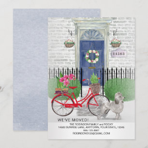 Bewegende Poedel Hond Fiets Blauwe Deur Nieuw Huis Aankondiging