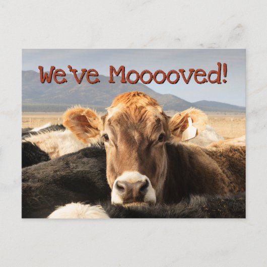 Beweging Aankondigingskaart (Voorkant)