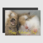 Beweging over Bob (Voorkant / Achterkant)