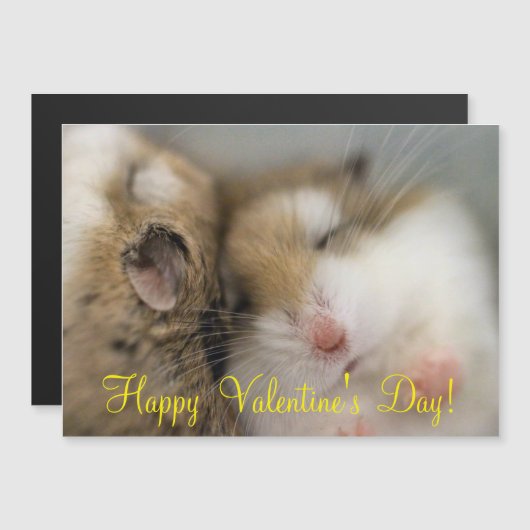 Beweging over Bob (Voorkant / Achterkant)