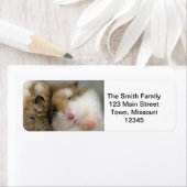 Beweging over Bob Etiket (Insitu)