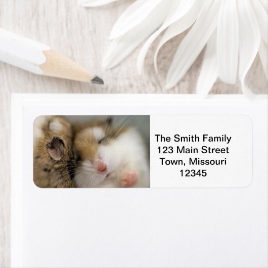 Beweging over Bob Etiket (Insitu)