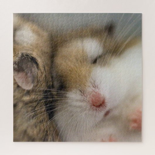 Beweging over Bob Legpuzzel (Verticaal)
