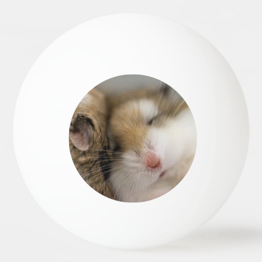 Beweging over Bob Pingpongbal (Voorkant)