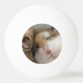 Beweging over Bob Pingpongbal (Achterkant)