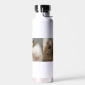 Beweging over Bob Waterfles (Links)