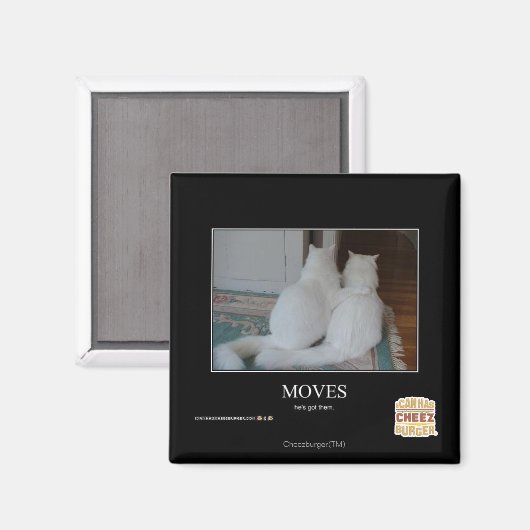 Bewegingen Magneet (Voorkant / Achterkant)