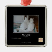Bewegingen Metalen Ornament (Voorkant)