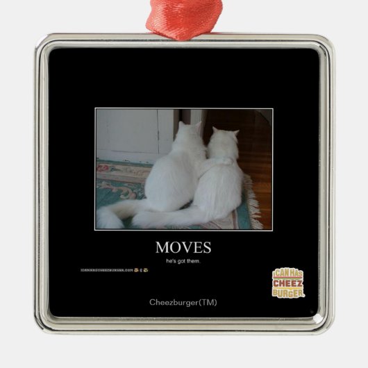 Bewegingen Metalen Ornament (Voorkant)