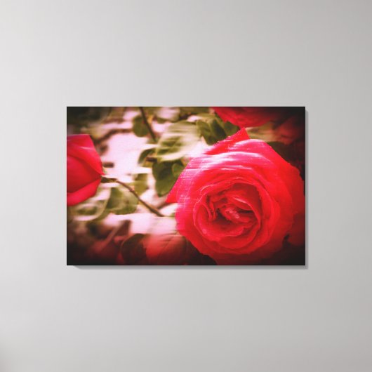 BEWEGINGSKLEUR van boomrozen op Canvasprint Canvas Afdruk (Voorkant)