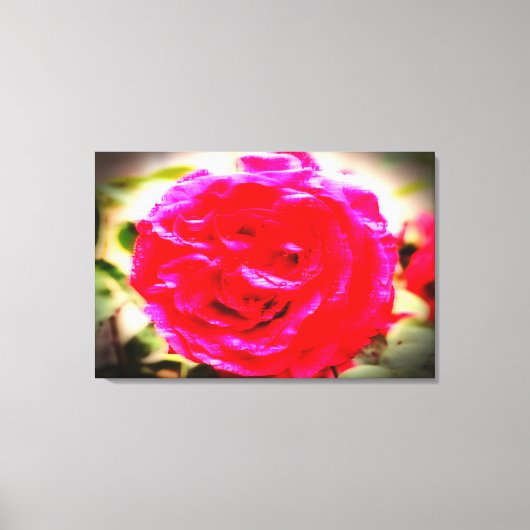 BEWEGINGSKLEUR van een roos Canvas Afdruk (Voorkant)