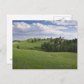 Beweide in het Custer State Park Briefkaart (Voorkant / Achterkant)