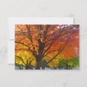 Beweide van liefde - herfst Boom Wedding RSVP Kaart (Achterkant)