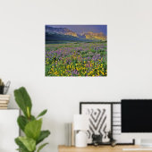 Beweide van wilde bloemen in de vele gletsjer poster (Thuiskantoor)