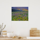 Beweide van wilde bloemen in de vele gletsjer poster (Keuken)