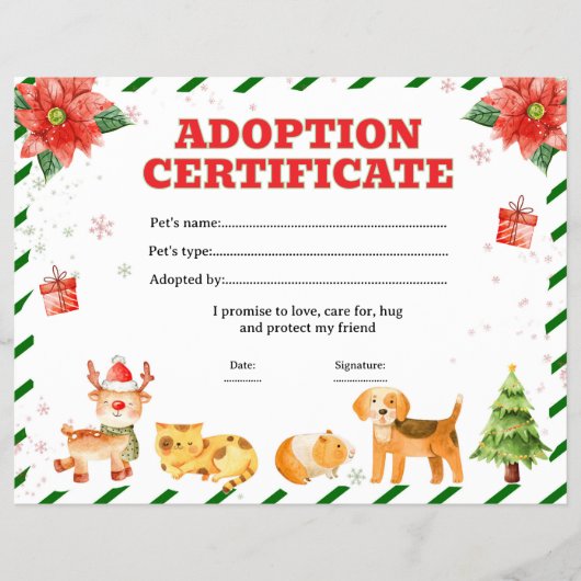 Bewerkbaar certificaat voor het adopteren van een flyer (Voorkant)