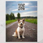 Bewerkbaar Gevonden Hond Poster Met QR-code & Afsc Flyer (Achterkant)