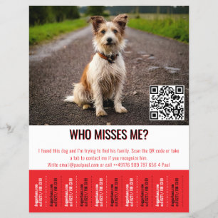Bewerkbaar Poster Voor Gevonden Hond Met QR-Code & Flyer