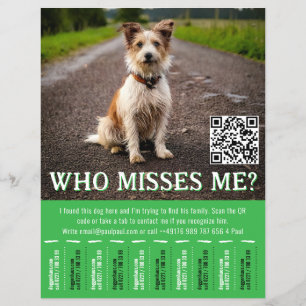 Bewerkbaar Poster Voor Gevonden Hond Met QR-Code & Flyer