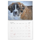 Bewerkbare 20xx honden kalender (Jan 2027)