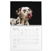 Bewerkbare 20xx honden kalender (Feb 2027)
