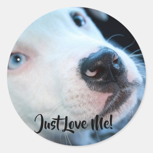 Bewerkbare Baby Pitbull White Puppy Ronde Sticker (Voorkant)